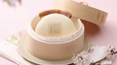 春のキャンペーンイメージ画像