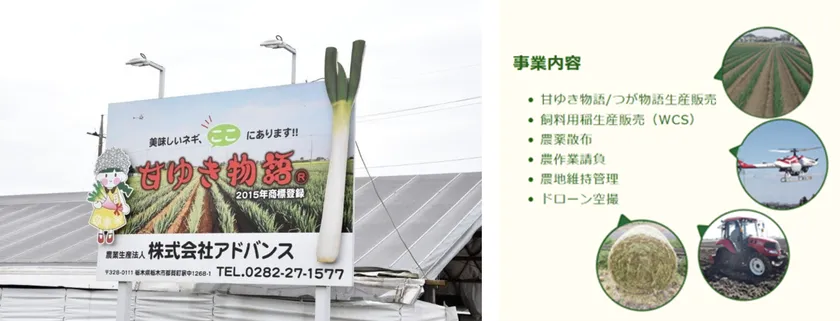 アドバンス社について