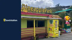 ナゴパイナップルパークに設置された自販機