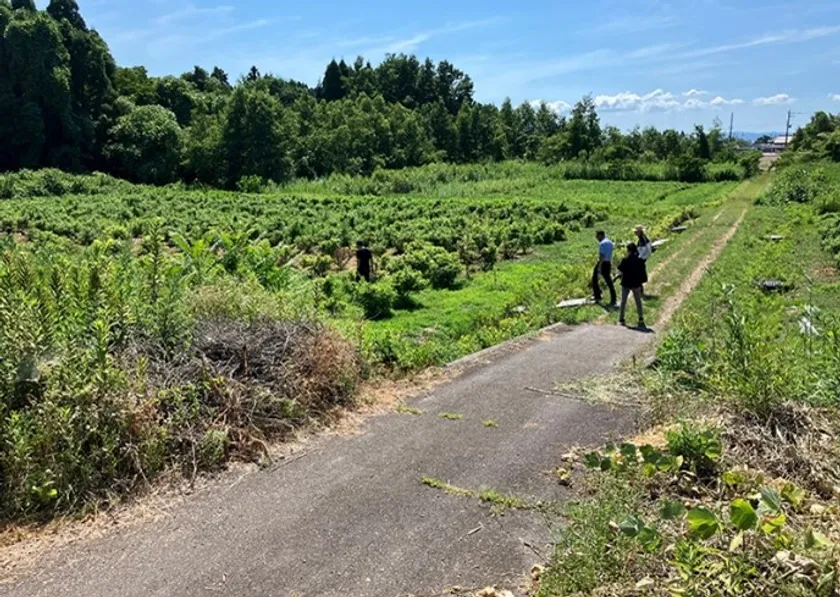 射水市大門・水戸田地域