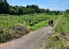 射水市大門・水戸田地域