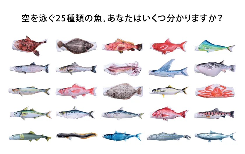 のぼり水族館一覧