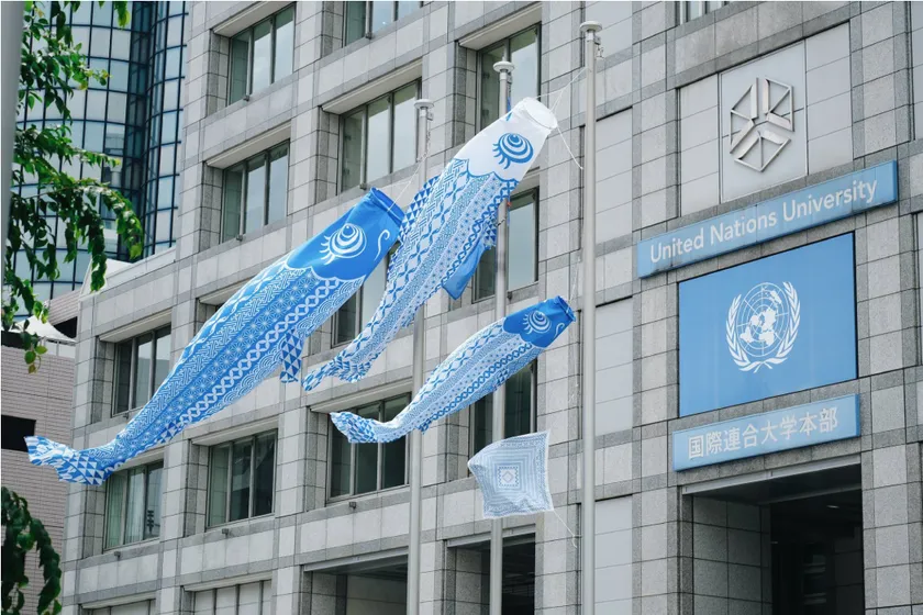 世界難民の日こいのぼり