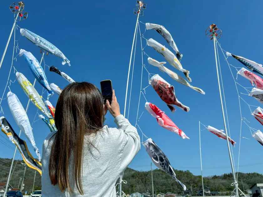 お魚のぼりをおもわず写真撮影