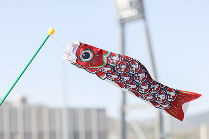 広島カープこいのぼり
