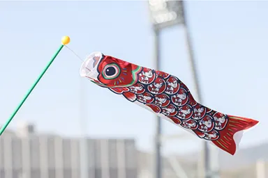 広島カープこいのぼり