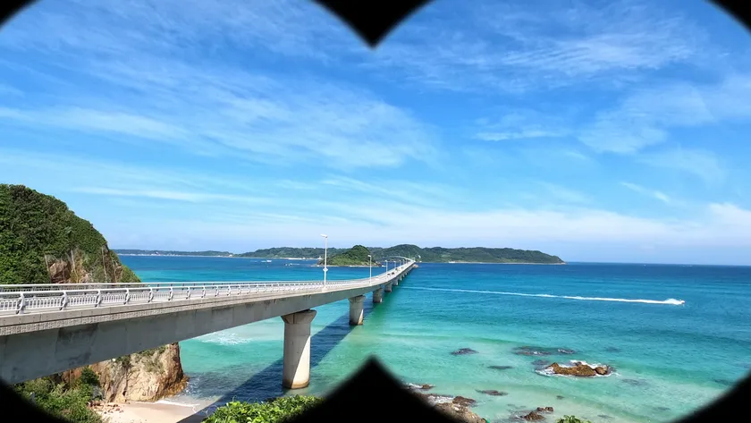 村重さんカイメイ編(1)