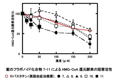 藍のフラボノイド化合物7-11によるHMG-CoA還元酵素の阻害活性
