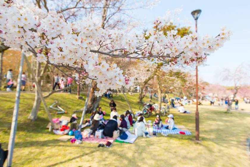 水源公園