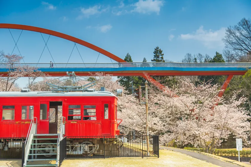 鞍ケ池公園