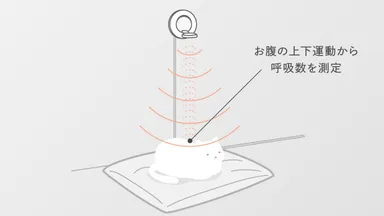 計測のイメージ