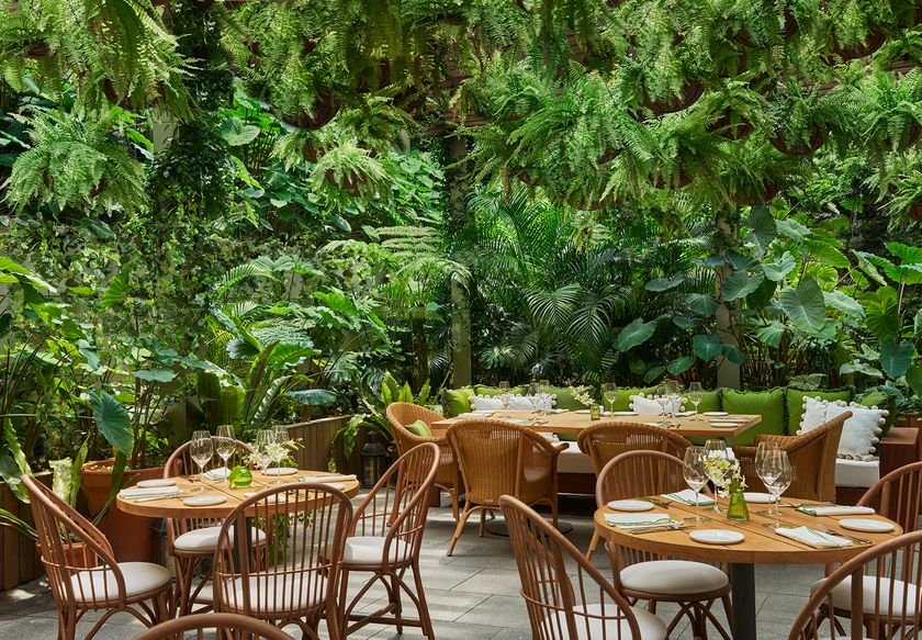 FYSH at EDITION - テラス