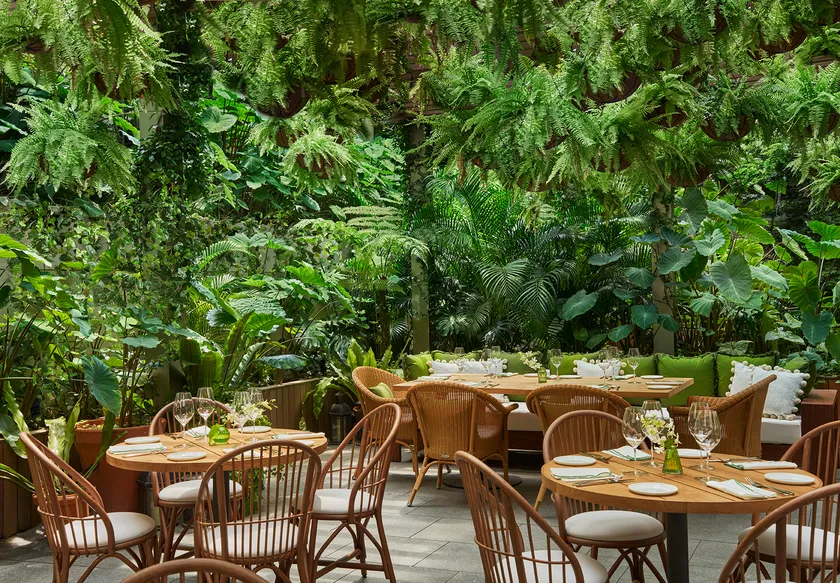 FYSH at EDITION - テラス