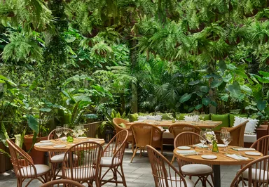 FYSH at EDITION - テラス