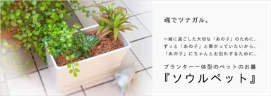 「SOULPET」オンラインショップ