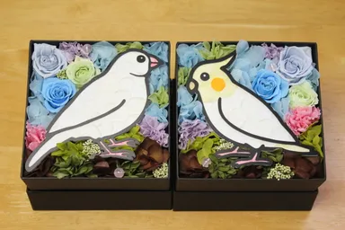 鳥シリーズ (白文鳥・オカメインコ)