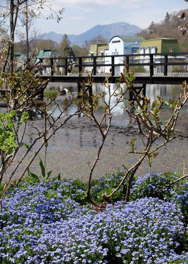 「軽井沢レイクガーデン」
2026年の開園期間は4月17日(金)～11月8日(日)　
約1万坪の庭園にイングリッシュローズやハーブなどが咲き誇る