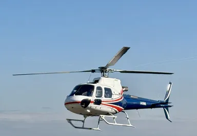 歓声があがる20分間の空の旅