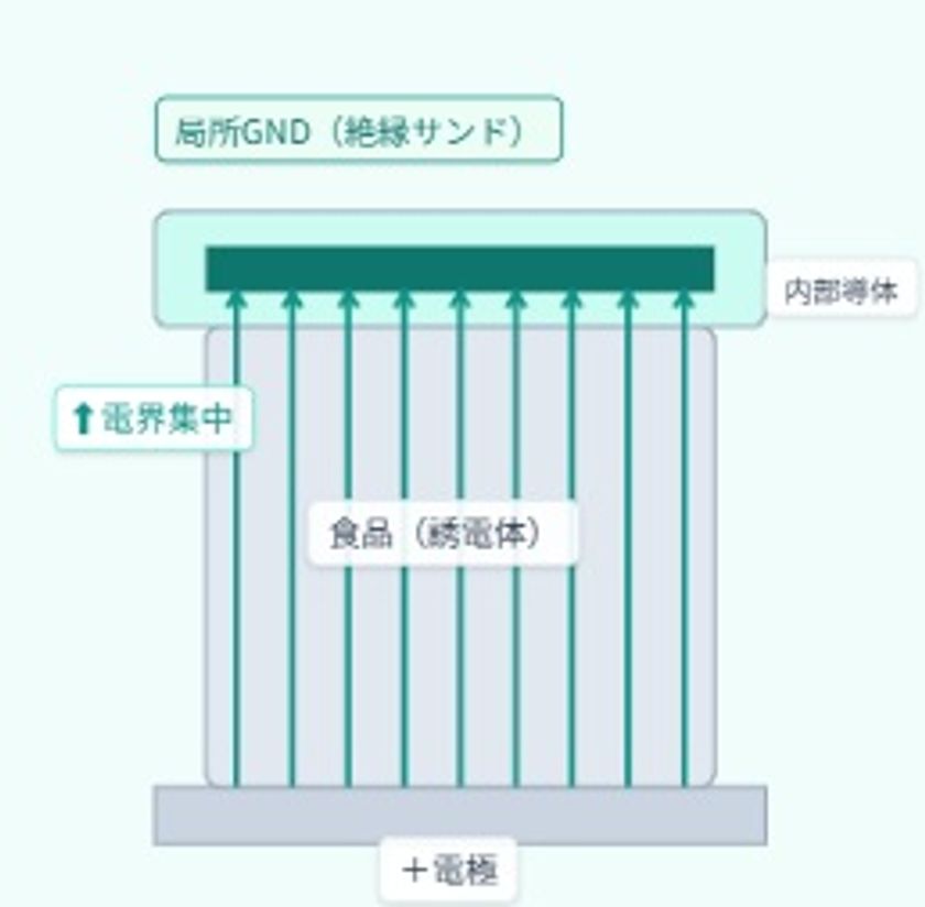 接触状態で電界を誘導する
「CAシステム(Coulomb Attractor System)」を一次産業から
美容・ウェルネス、医療応用へ展開