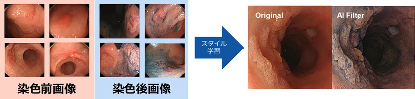 CycleGANを活用した画像生成のイメージ