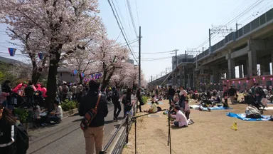さくら祭りの様子1