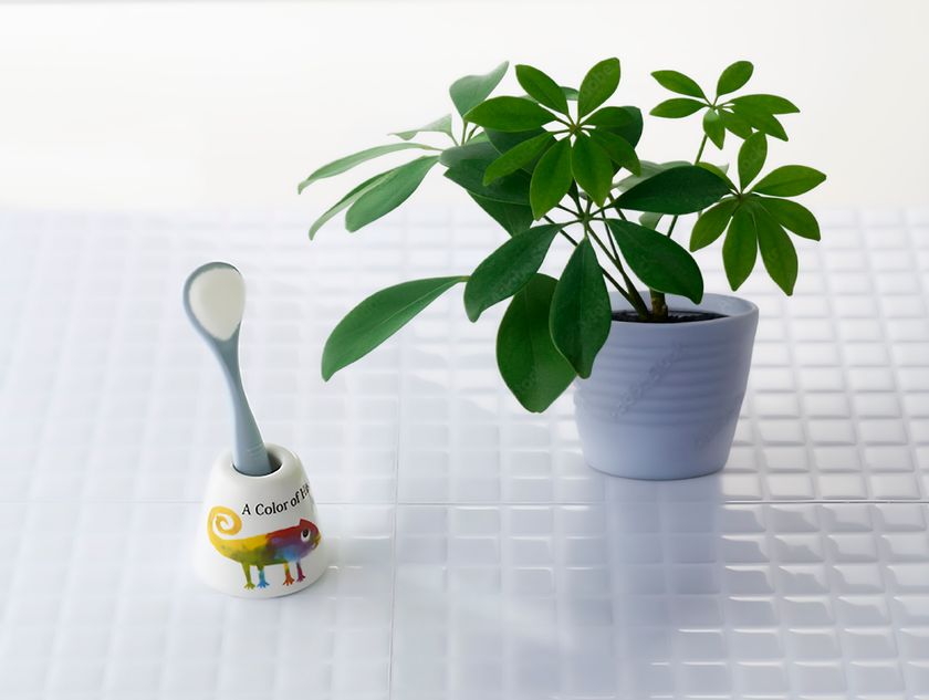 新学期から、新しい口腔ケア習慣を！
将来の健康につながる、
子供の舌の成長についても考えてみませんか？
小学校の6年間は舌の発達において最も重要な時期