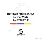 STRICT-G