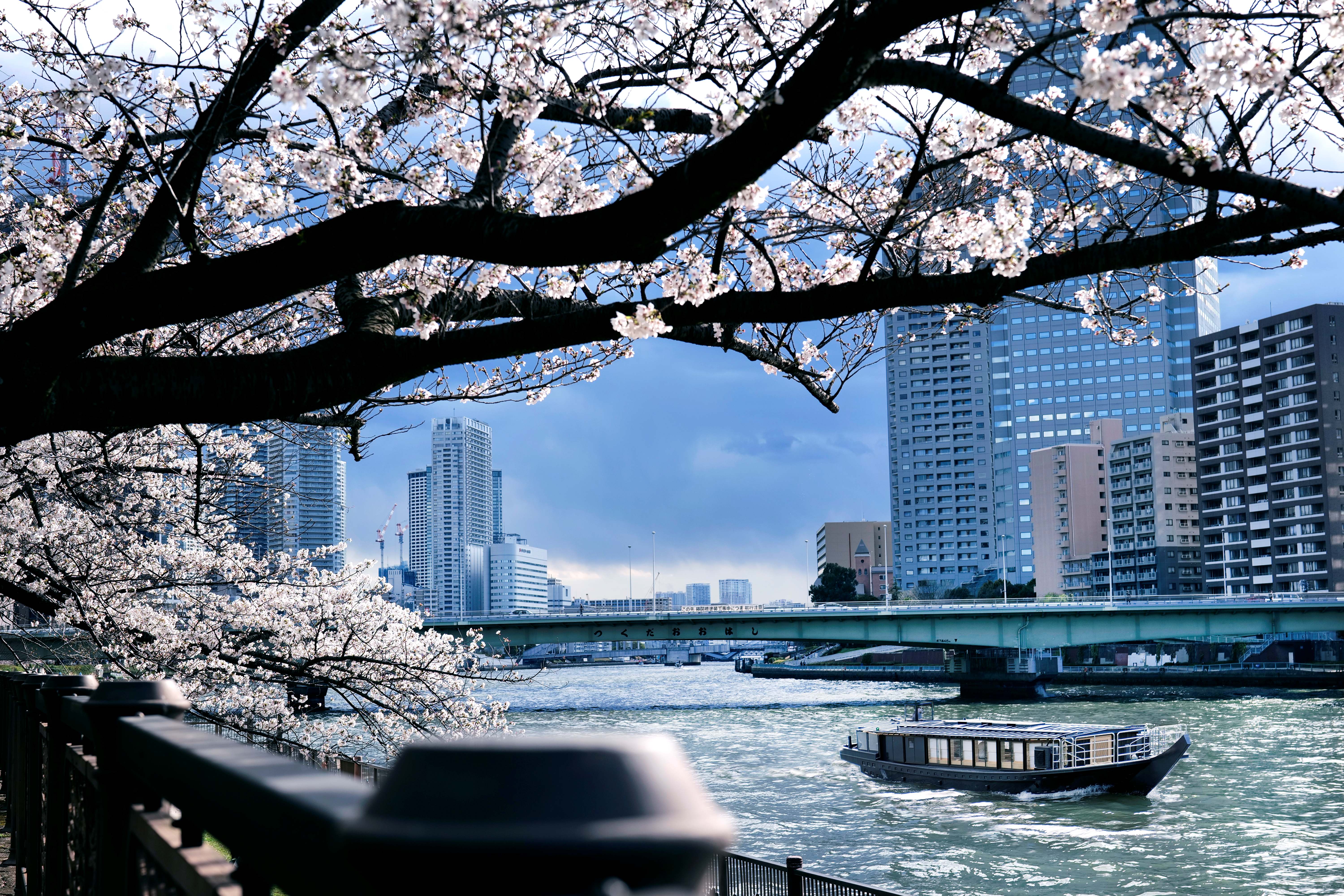 3/28～4/4 期間限定】銀座の名店「鮨 むらやま」監修 船上で愉しむ