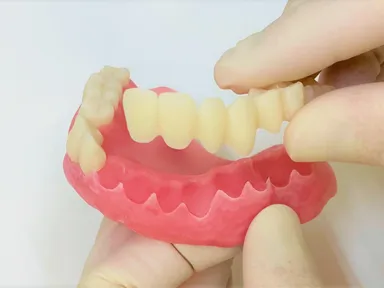 歯と歯茎をくっつけて磨く