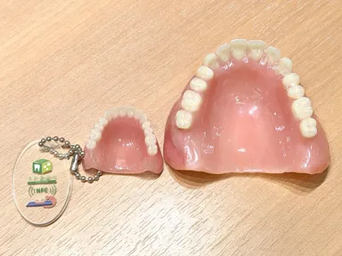 大きさの違い(左：ミニ、右：通常)