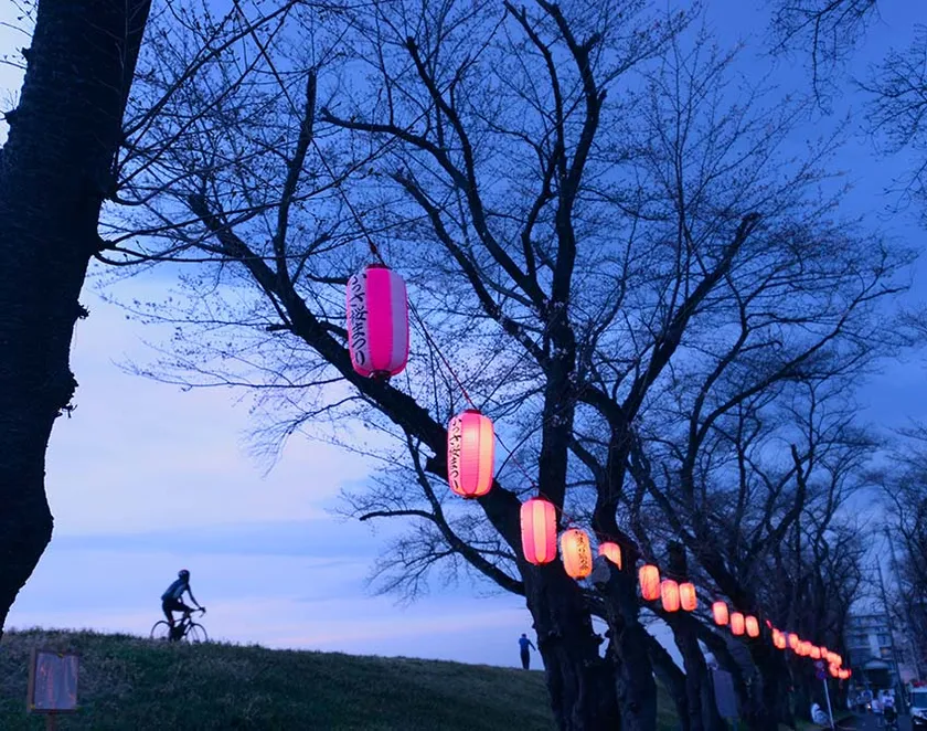 提灯によるライトアップ