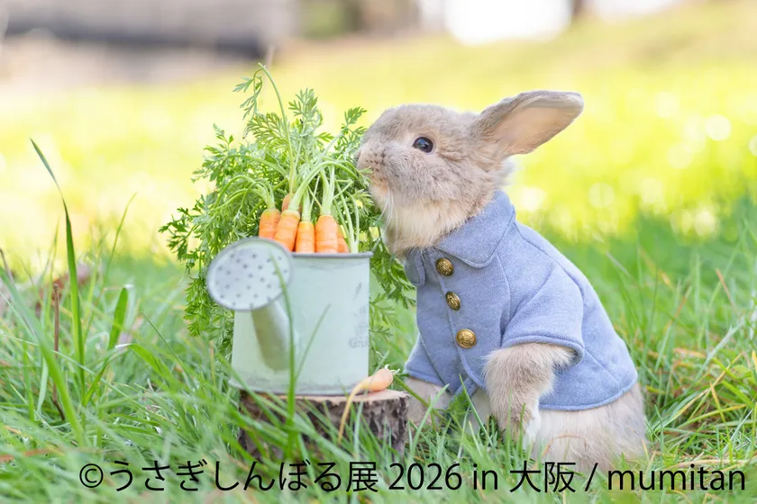 うさぎしんぼる 展示作品:mumitan