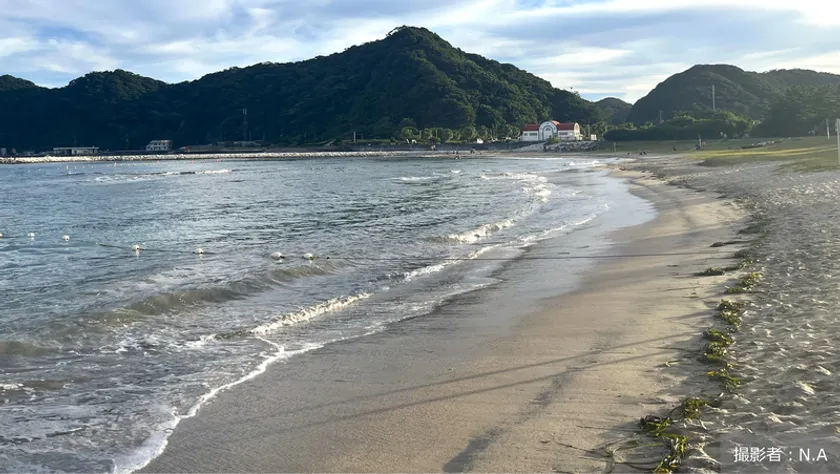 地球の学校_20260301_CO2を吸収する海草の力