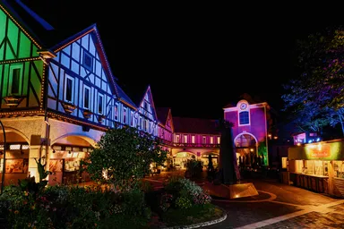 イルミネーション企画「光の森～Forest of Illuminations～」