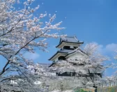 春の小峰城