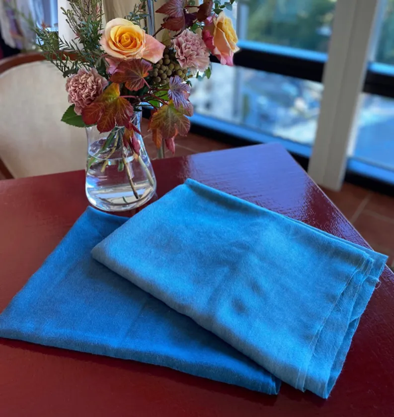 DGBH企画 インディゴ・アーティスト Tatz Miki(タツ・ミキ)氏とのコラボショール