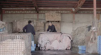 河合産業　ここでは皮は意外なものに生まれ変わる