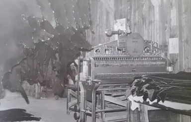 時代の変遷とともに草加の皮革産業の現在が作られてきた