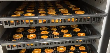 規格外みかんの乾燥加工作業