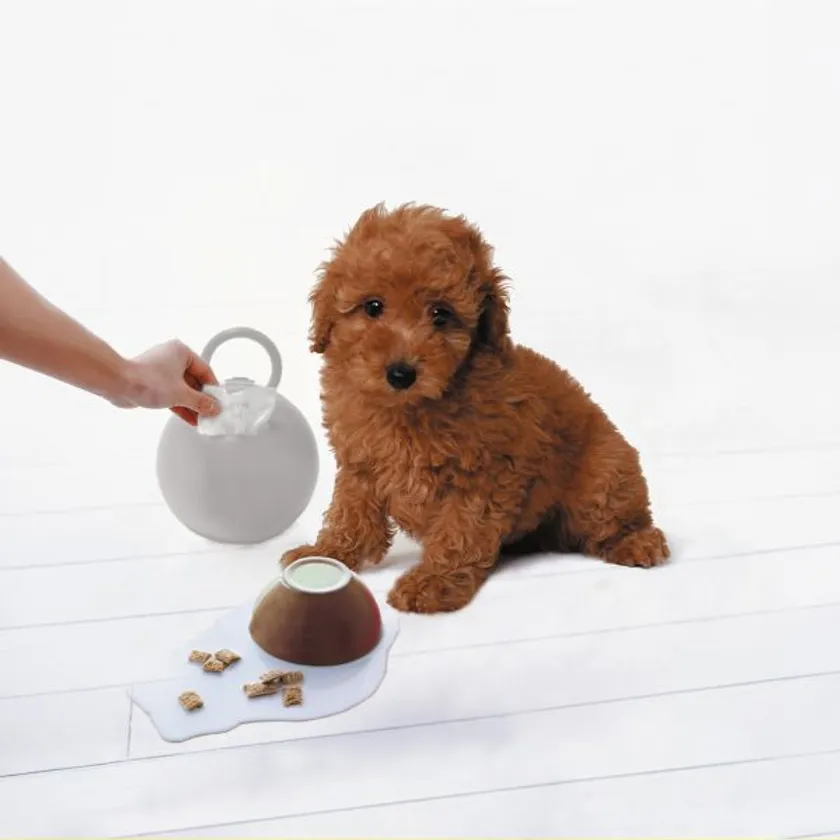 ペットのケアにもおすすめ