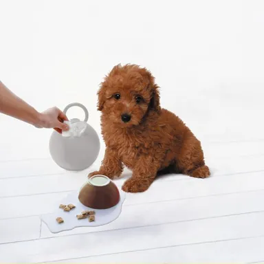 ペットのケアにもおすすめ