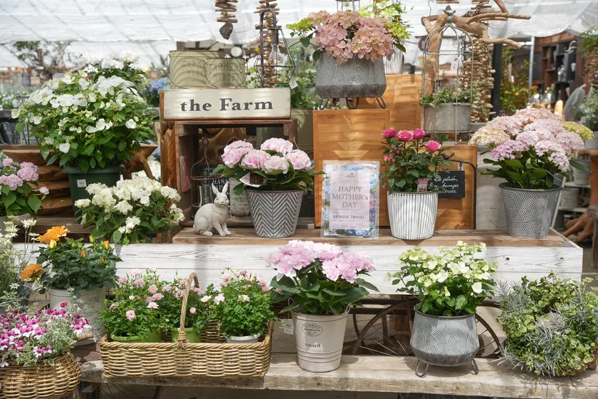 母の日ギフトフラワー(the Farm UNIVERSAL/大阪府茨木市)