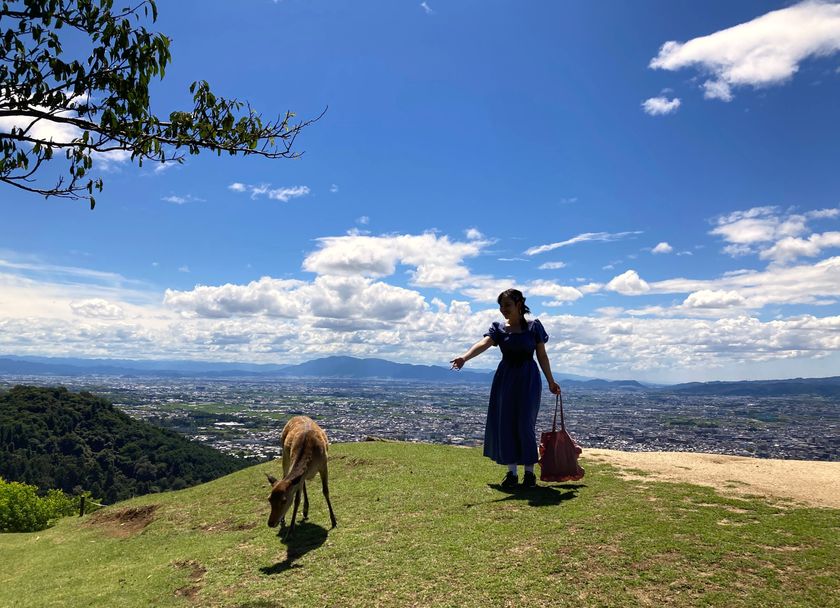 インバウンドのお客様に人気の若草山山頂への直行バス
Wakakusa Hilltop Bus　４月１日より毎日運行開始