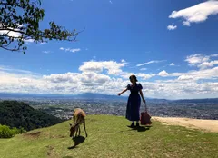 若草山イメージ