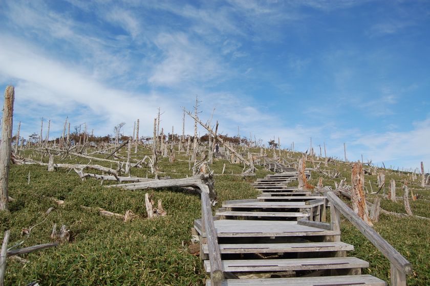 「大台ヶ原直通バス そらかぜ」
事前予約制化＆ラッピング実施＆乗車特典配布