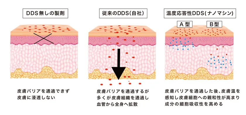 (図4)ナノマシンが皮膚細胞に内包成分を高濃度で送達できる仕組みのイメージ