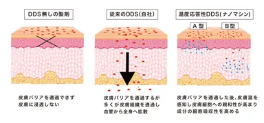 (図4)ナノマシンが皮膚細胞に内包成分を高濃度で送達できる仕組みのイメージ
