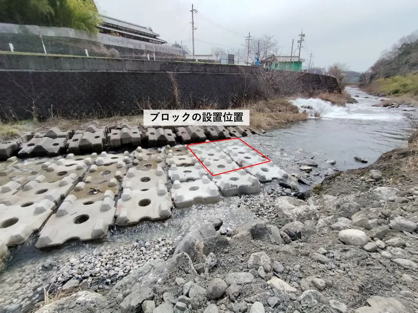 写真1:姉川に設置した根固めブロック