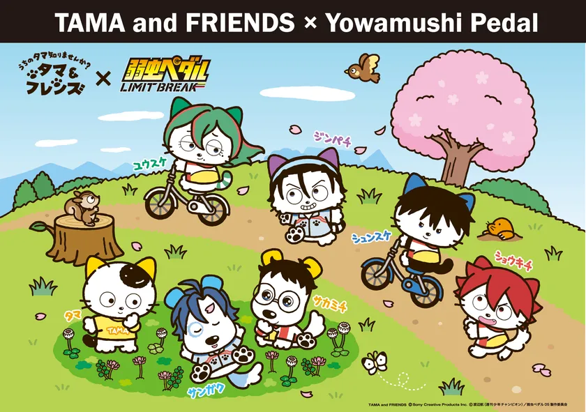 『タマ＆フレンズ』×『弱虫ペダル』コラボレーションアート