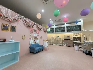 動物ふれあいルーム(1)